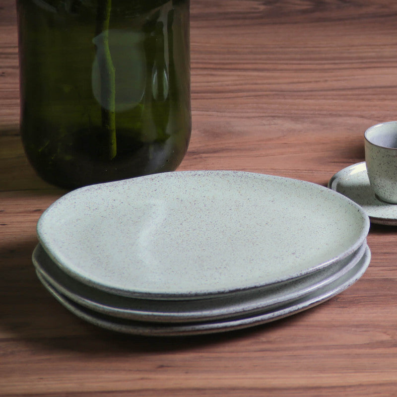 Oval Dinner Plate Set of 4