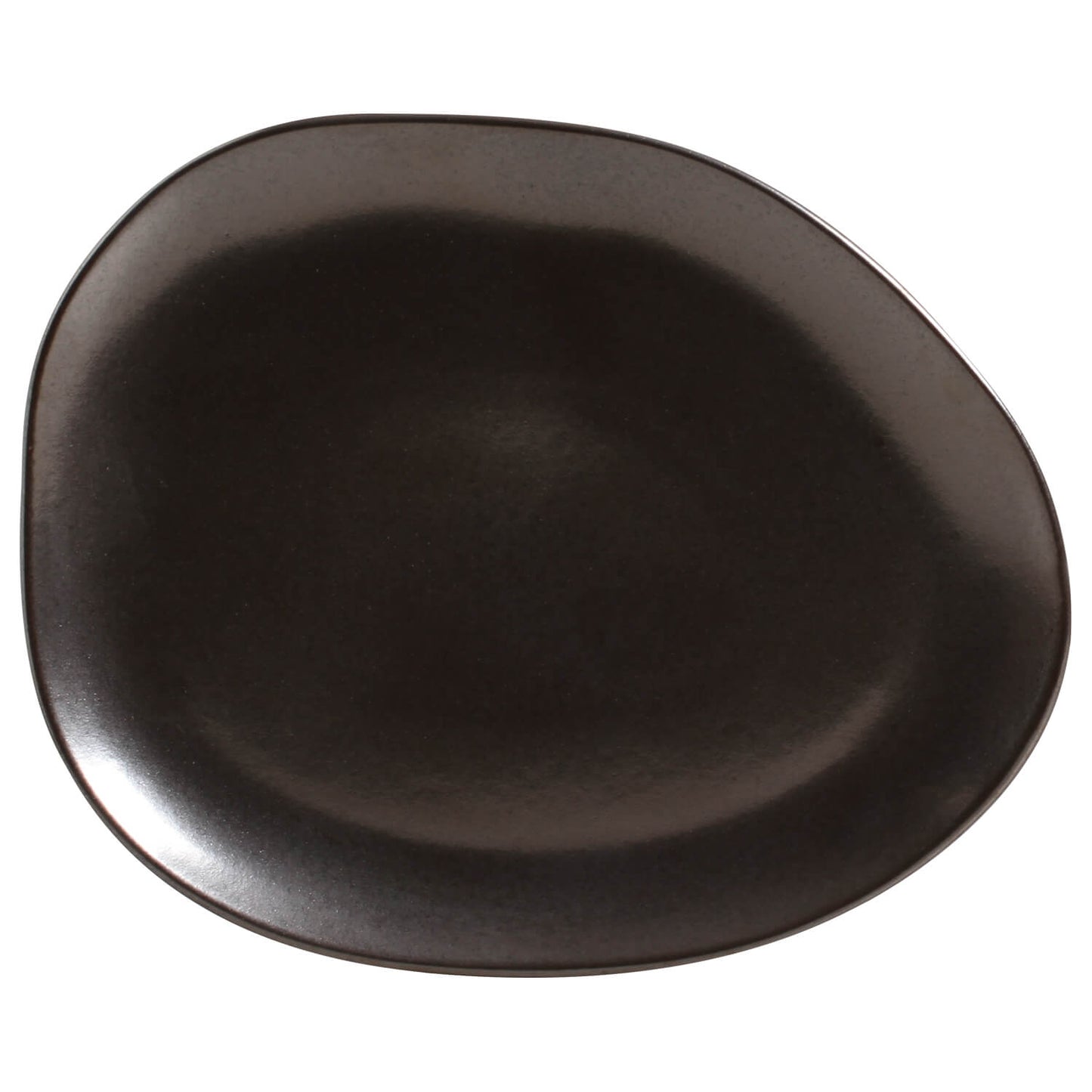Oval Dinner Plate Set of 4