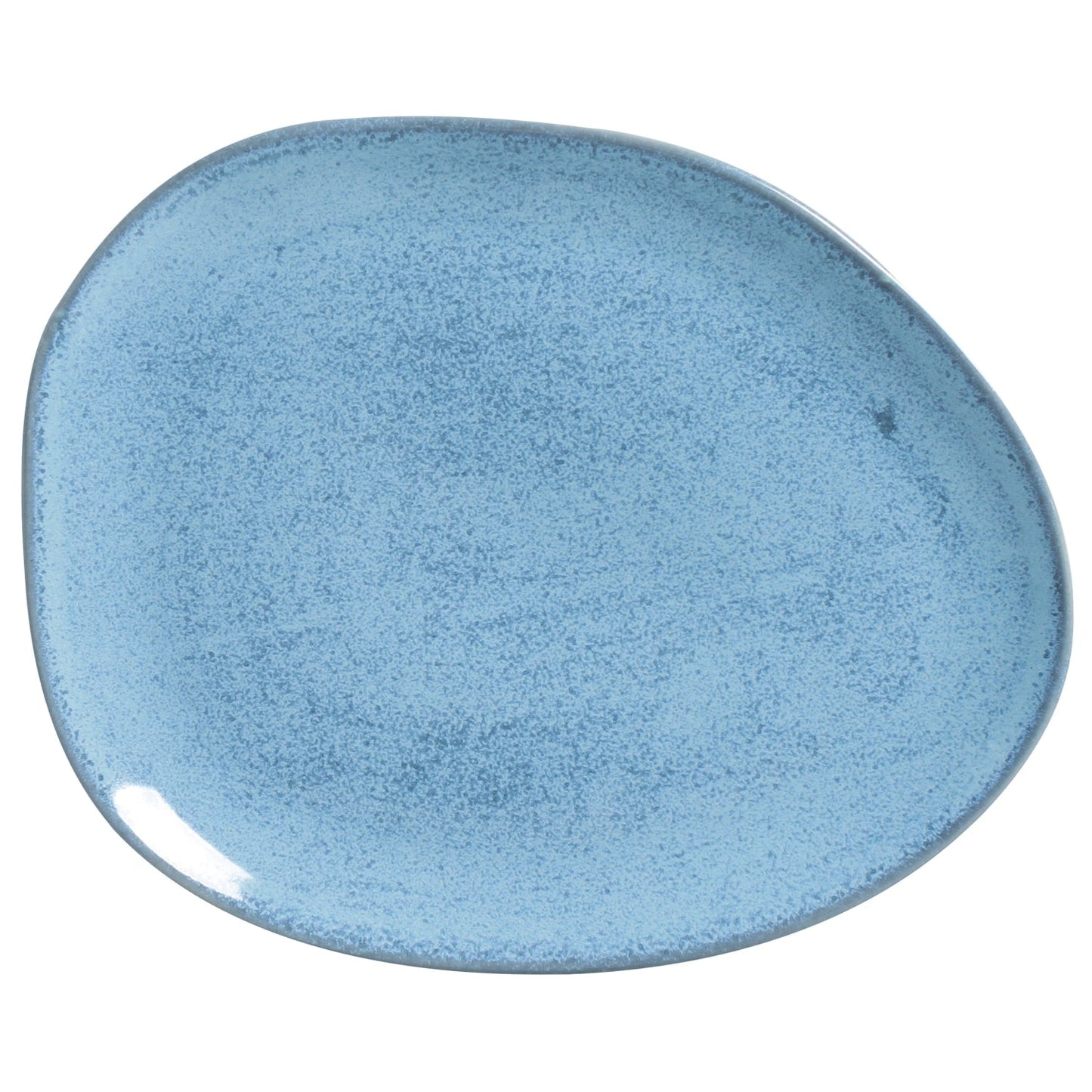Oval Dinner Plate Set of 4