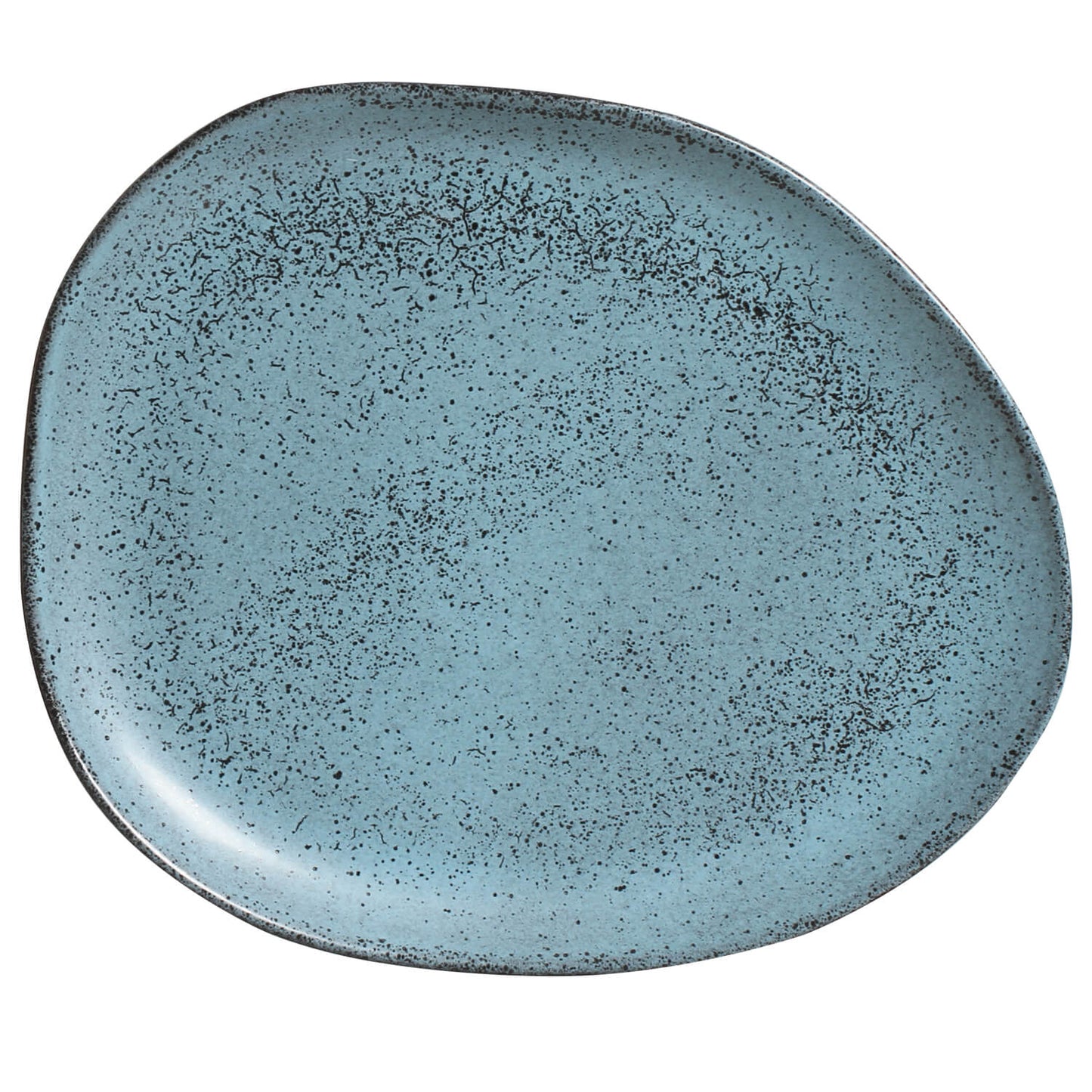 Oval Dinner Plate Set of 4